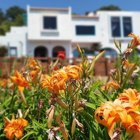 La Casa Te Puru Lodge Luaran gambar