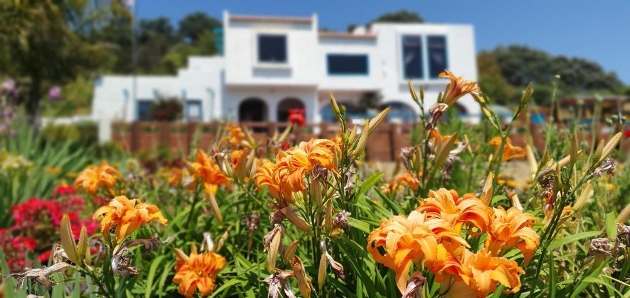 La Casa Te Puru Lodge Luaran gambar